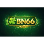 BN66 Game